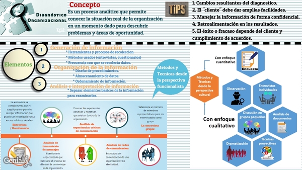 Diagnostico Organizacional