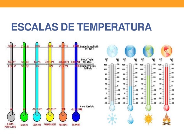No se deje engañar por vocalista de rata blanca