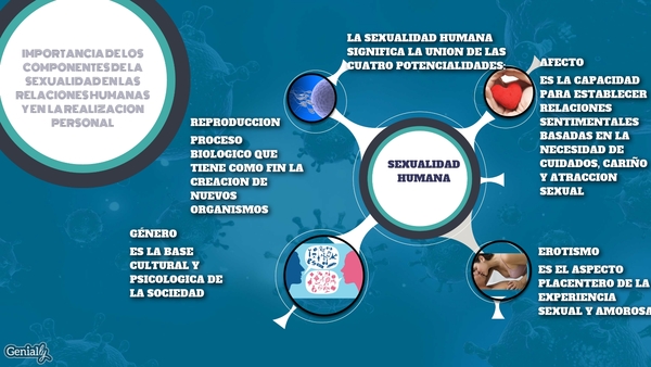 Cuatro Potencialidades De La Sexualidad Humana Xili 1301